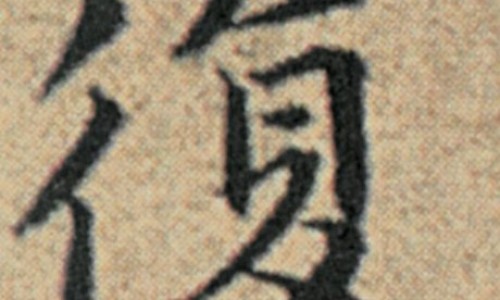 赤芍功效与作用网 - 网站提供赤芍功效与作用小常识、赤芍功效与作用主要治什么病